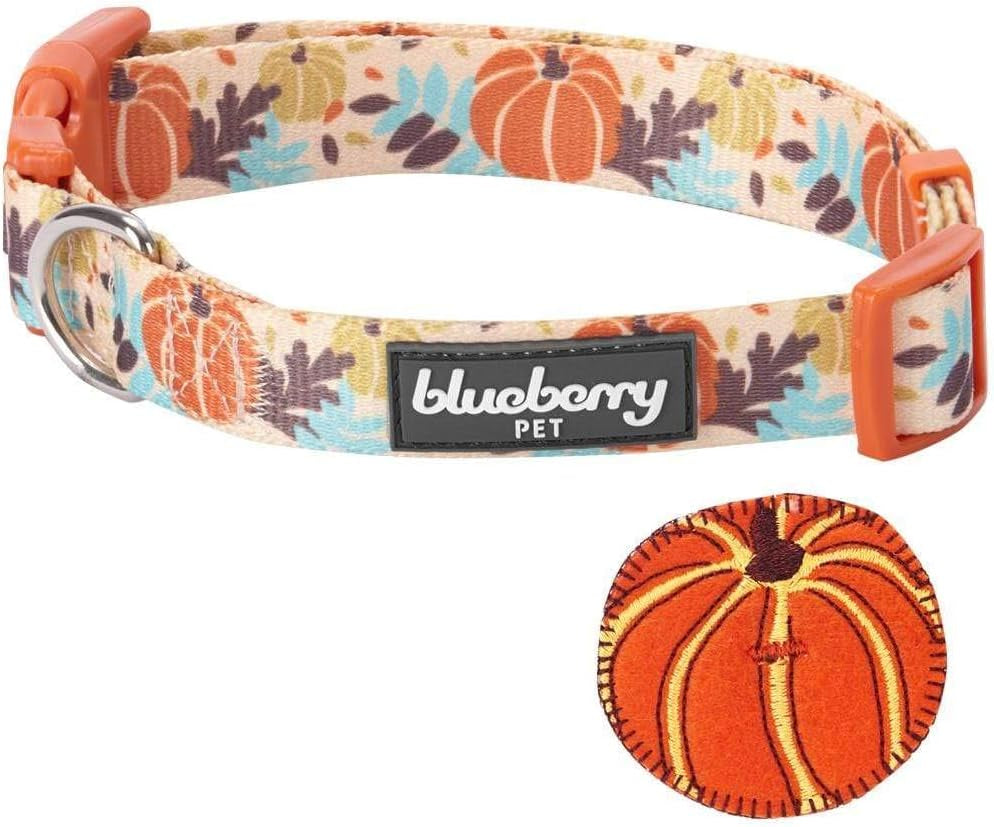 Thanksgiving Pumpkin Dog Collar - Adjustable Fall Collar for Small to Medium Dogs, Ideal for Holiday Photos and Festive Celebrations