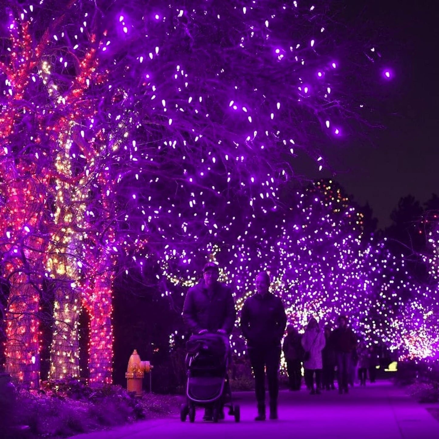 300 LED Purple Halloween String Lights - 100FT Connectable with 8 Lighting Modes for Festive Indoor/Outdoor Decor - Perfect for Parties and Yard Decorations