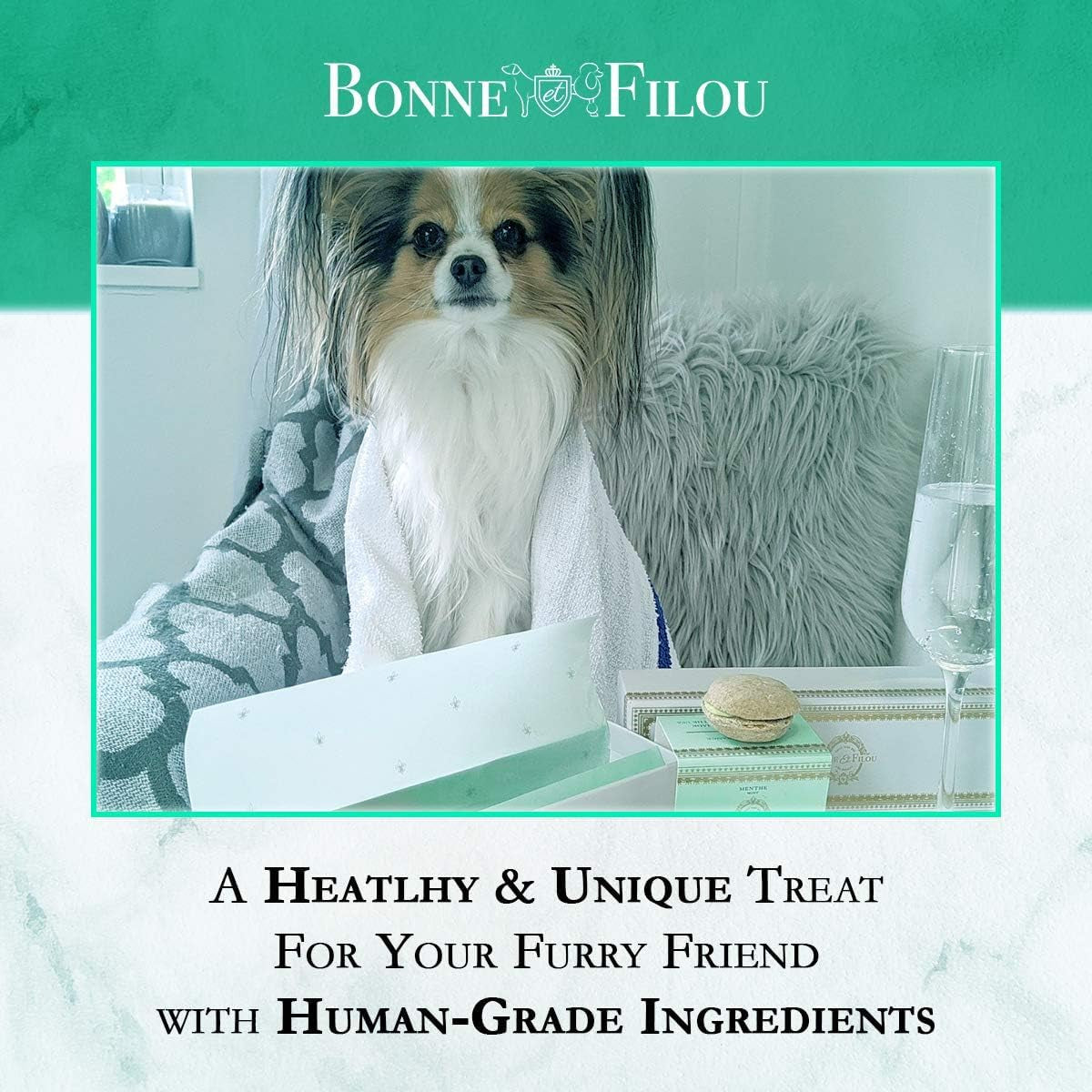 Christmas Dog Treats Mint Cupcakes, Dog Birthday Gift for Medium to Large Breed – Gourmet Macaron Cakes, Healthy & Delicious Human Grade Snacks – 6 Count