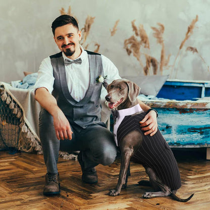 Dog Tuxedo for Large Dogs, Dog Suit and Bowtie, Formal Dogs Wedding Outfit, Pet Tuxedo and Bandana Set Valentines Birthday Christmas Party Costumes for Labrador Golden Retriever, Stripe,Xl