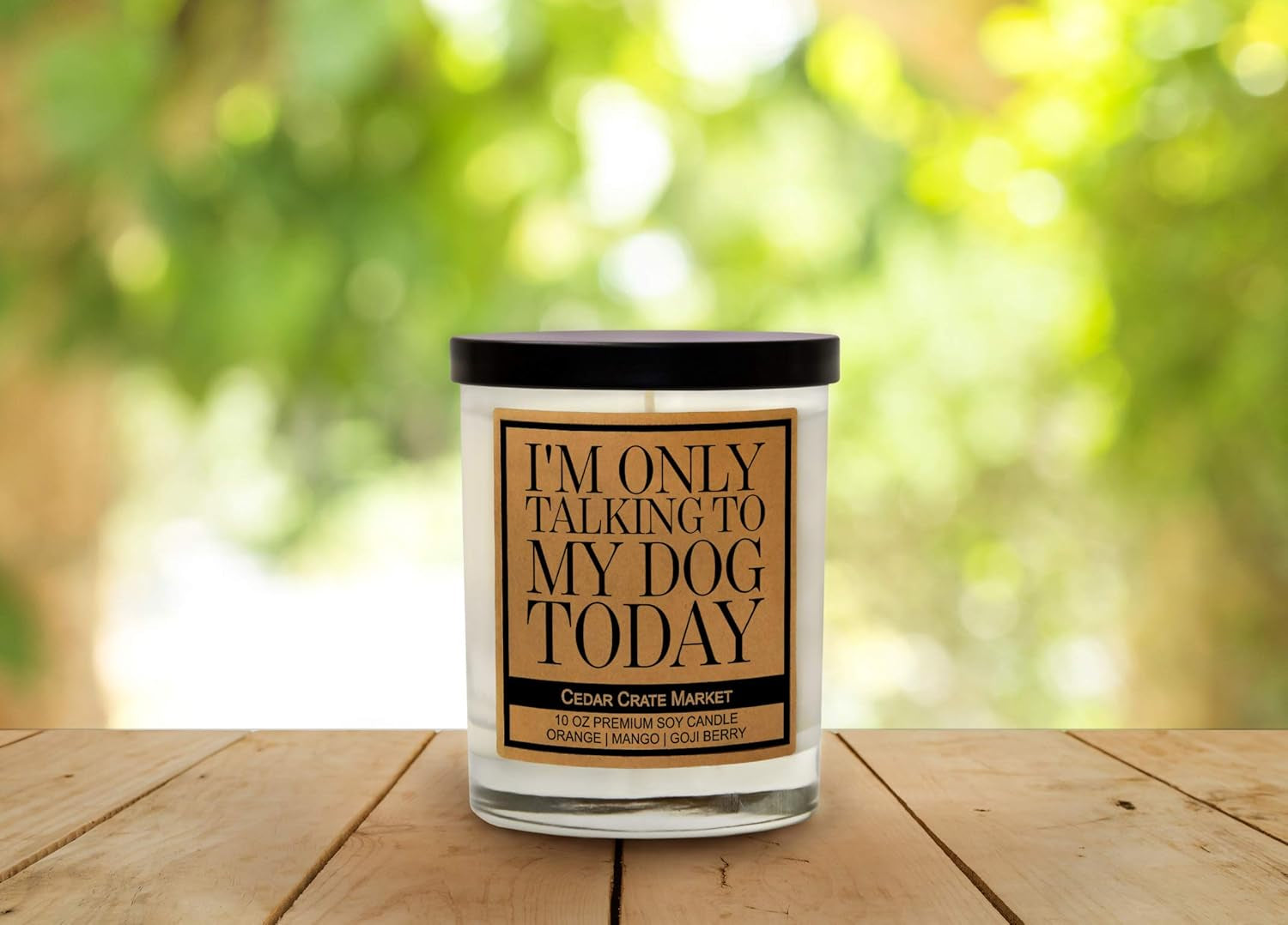 Mom Gifts | I'M Only Talking to My Dog Today | Funny Scented Candle Gifts for Dog Lovers, Her, Women, BFF, Sister, Mom, Boss, Coworker on Birthday, Christmas Candles - Orange, Mango, Goji Berry