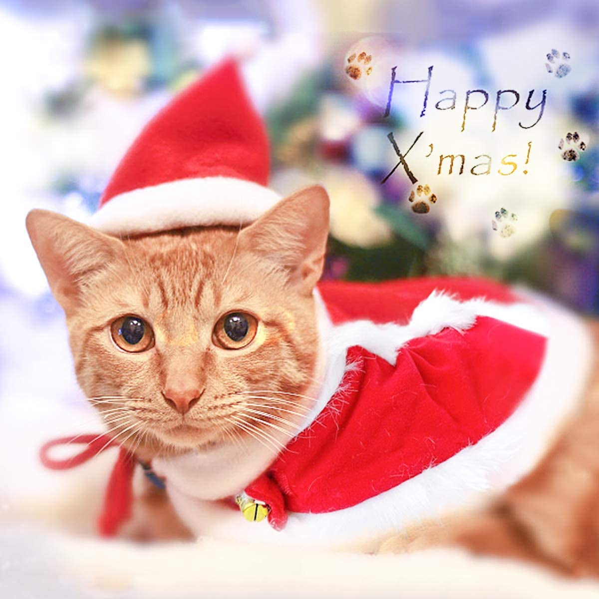 Cat Christmas Costume, Cat Santa Hat with Cloak Set, Small Dog Christmas Warm Coat, Xmas Hat Outfits for Rabbit, Red Kitten Clothes New Year Apparel, Adjustable