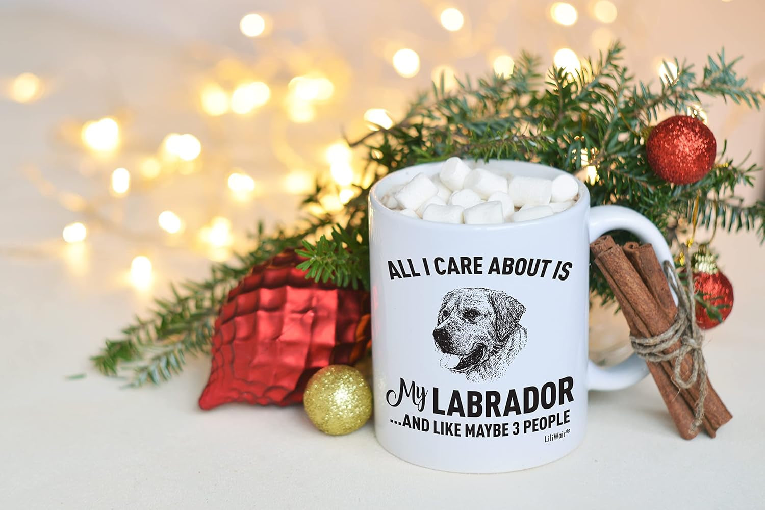 Labrador Mom Gifts Mug for Christmas Women Men Dad Decor Lover Decorations Stuff I Love Lab Coffee Accessories Talking Art Apparel Funny Birthday Gift Home Supplies Products Dog Coffee Cup Mugs