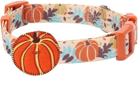 Thanksgiving Pumpkin Dog Collar - Adjustable Fall Collar for Small to Medium Dogs, Ideal for Holiday Photos and Festive Celebrations