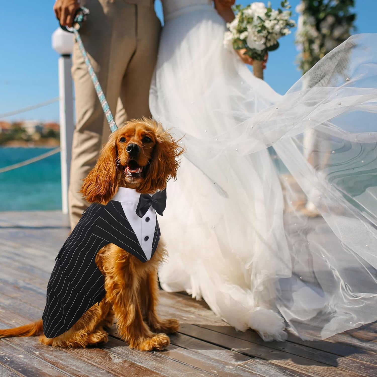 Dog Tuxedo for Large Dogs, Dog Suit and Bowtie, Formal Dogs Wedding Outfit, Pet Tuxedo and Bandana Set Valentines Birthday Christmas Party Costumes for Labrador Golden Retriever, Stripe,Xl