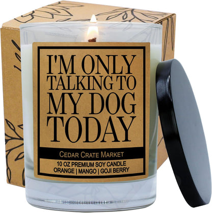 Mom Gifts | I'M Only Talking to My Dog Today | Funny Scented Candle Gifts for Dog Lovers, Her, Women, BFF, Sister, Mom, Boss, Coworker on Birthday, Christmas Candles - Orange, Mango, Goji Berry