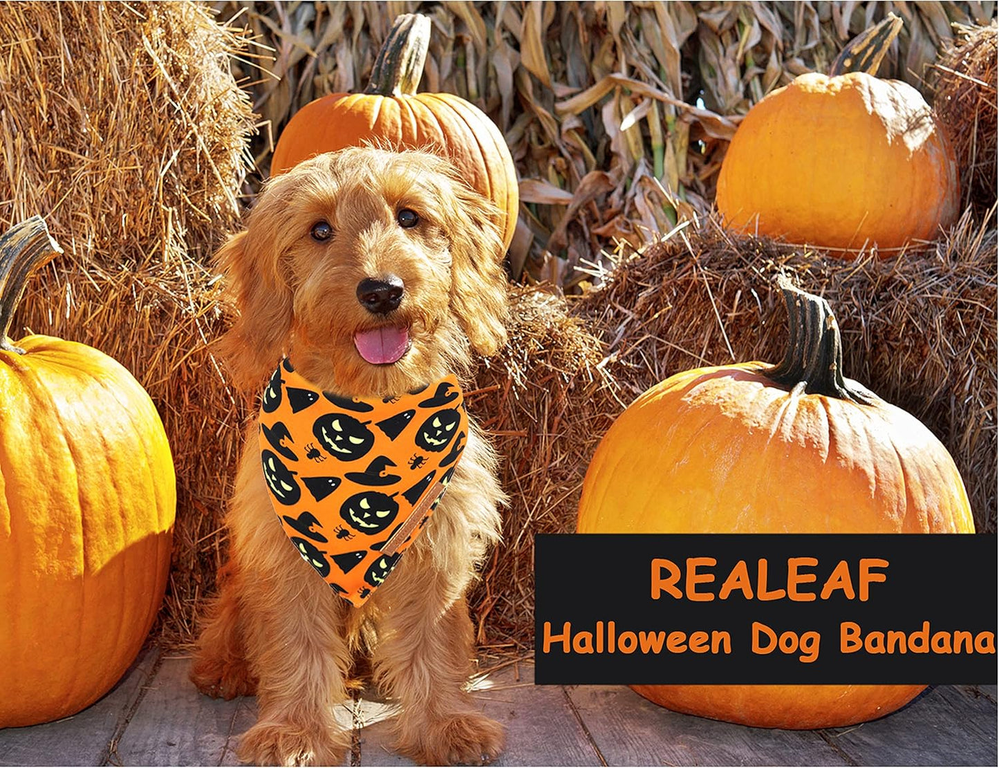 Spooktacular Halloween Dog Bandanas - 2 Pack of Reversible Pumpkin & Spider Web Bibs for Large Pets, Premium Durable Fabric, Adjustable Fit