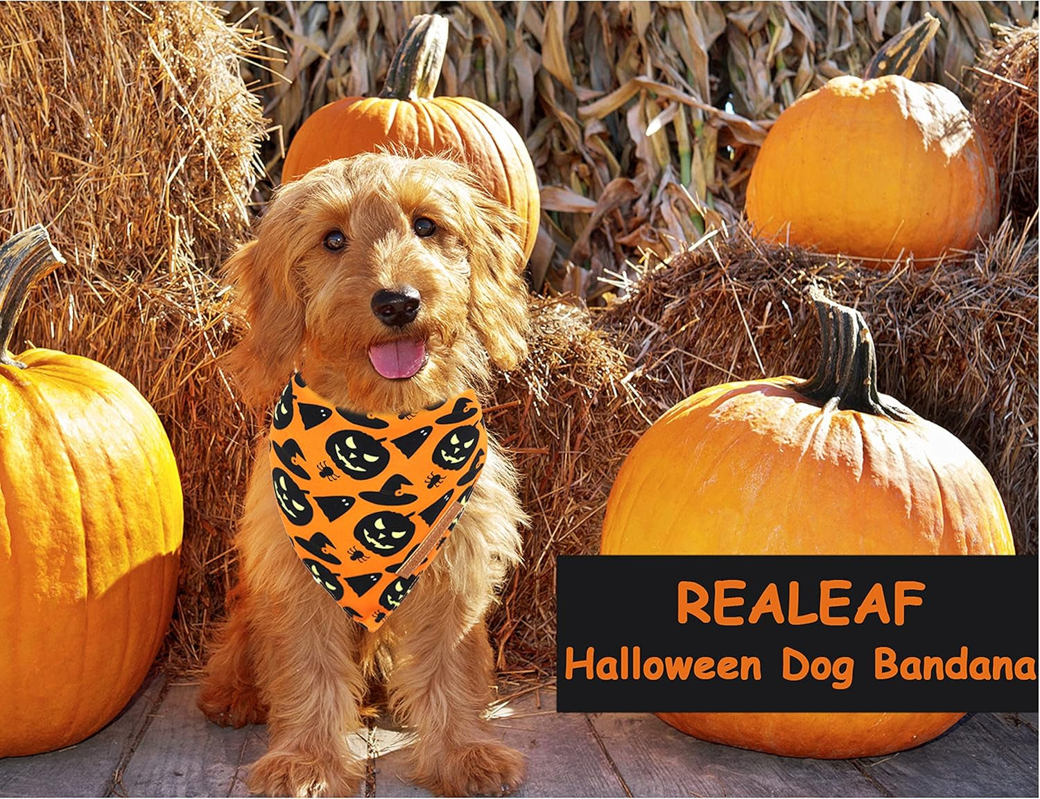Spooktacular Halloween Dog Bandanas - 2 Pack of Reversible Pumpkin & Spider Web Bibs for Large Pets, Premium Durable Fabric, Adjustable Fit