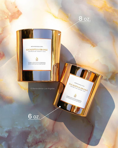 Eucalyptus Orange Wood Wick Candles | Soy Christmas Scented Candles for Home | Holiday Candle Gifts for Women and Men | Home Fragrance | Aromatherapy | Shelf Decor | 8Oz, 45 Hour Burn