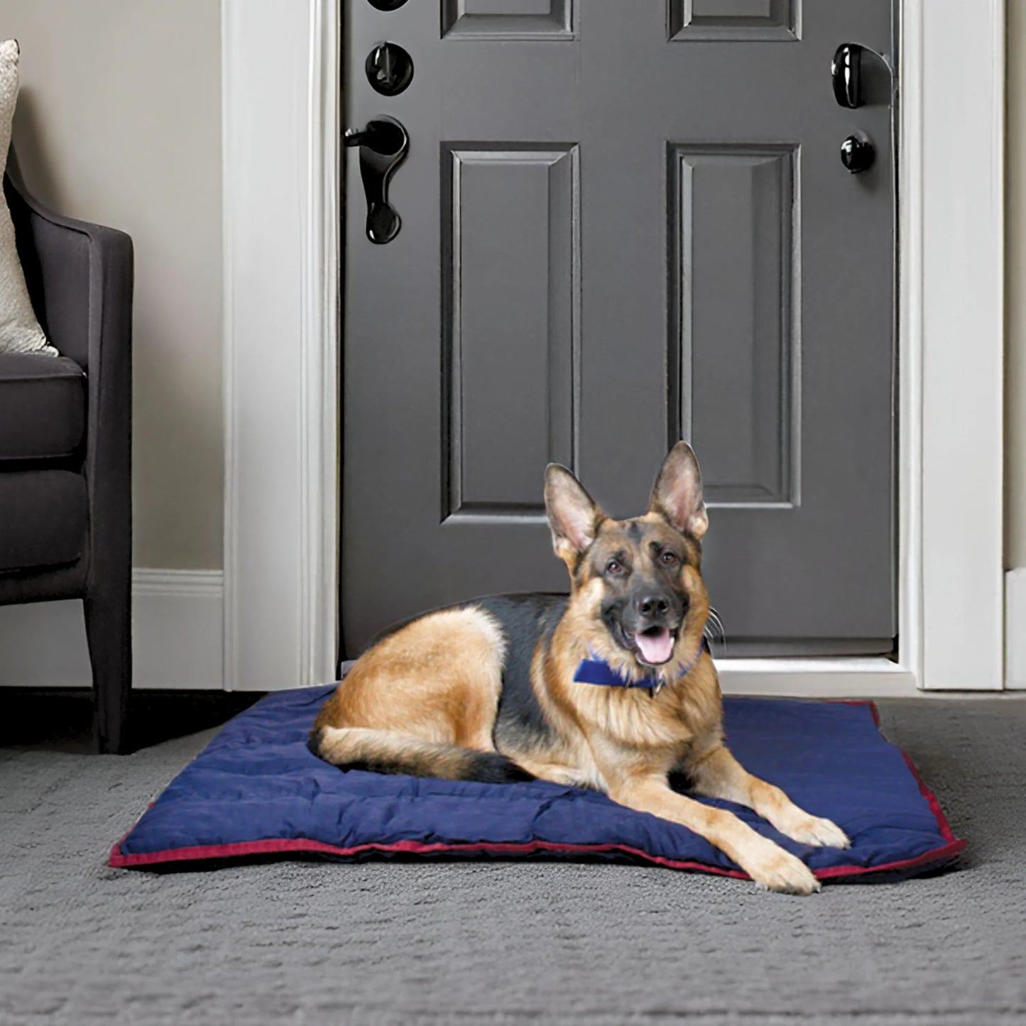 Pet Comfort Dog Pillow, Large 30" X 40", Navy Blue – Machine Washable Dog Bed for House, Sofa, Crate & Travel – Poly Cotton Shell, Winter Warmth, Soft, Comfy, Durable, Top Pet Bedding